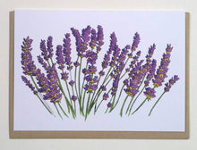 Load image into Gallery viewer, Lavender Greeting Cards
