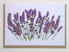 Load image into Gallery viewer, Lavender Greeting Cards