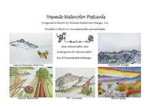 Load image into Gallery viewer, Mystery Pack of Yosemite Postcards