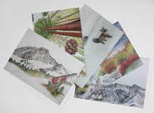 Load image into Gallery viewer, Yosemite Watercolor Postcard Sets