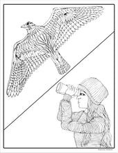 Load image into Gallery viewer, Yosemite Coloring Book PDF Download