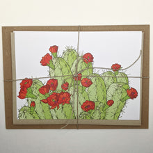 Load image into Gallery viewer, Hedgehog Cactus Greeting Cards