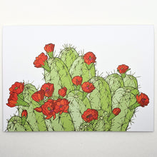Load image into Gallery viewer, Hedgehog Cactus Greeting Cards

