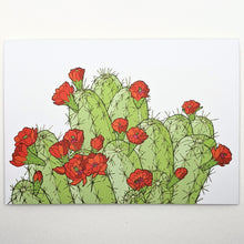 Load image into Gallery viewer, Hedgehog Cactus Greeting Cards