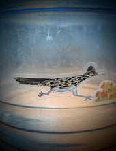 Load image into Gallery viewer, Roadrunner Stickers - Raising Funds for New Mexico's Roadrunner Foodbank