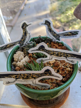 Load image into Gallery viewer, Roadrunner Stickers - Raising Funds for New Mexico's Roadrunner Foodbank