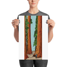 Load image into Gallery viewer, Sequoia Poster
