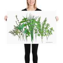 Load image into Gallery viewer, Herb Garden Poster