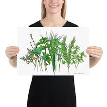 Load image into Gallery viewer, Herb Garden Poster