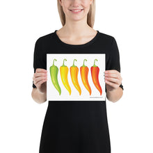 Load image into Gallery viewer, Rainbow Peppers Poster