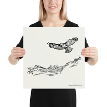 Load image into Gallery viewer, Tuolumne Red-tail Poster