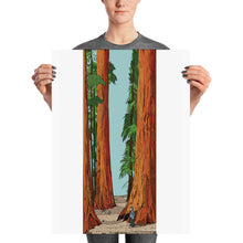 Load image into Gallery viewer, Sequoia Poster
