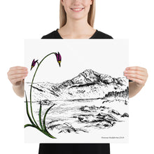 Load image into Gallery viewer, Shooting Stars Poster