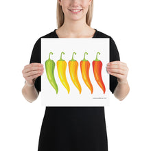 Load image into Gallery viewer, Rainbow Peppers Poster