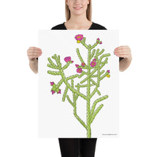 Load image into Gallery viewer, Cane Cholla Poster