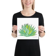 Load image into Gallery viewer, New Mexico Century Plant Poster