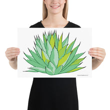 Load image into Gallery viewer, New Mexico Century Plant Poster