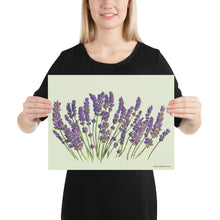 Load image into Gallery viewer, Lavender Poster