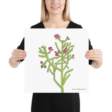Load image into Gallery viewer, Cane Cholla Poster