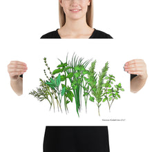 Load image into Gallery viewer, Herb Garden Poster