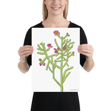 Load image into Gallery viewer, Cane Cholla Poster