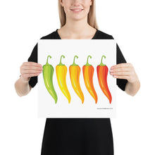 Load image into Gallery viewer, Rainbow Peppers Poster