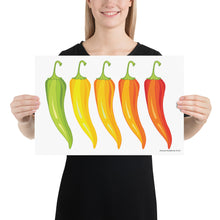 Load image into Gallery viewer, Rainbow Peppers Poster