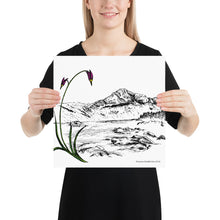 Load image into Gallery viewer, Shooting Stars Poster