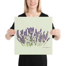 Load image into Gallery viewer, Lavender Poster
