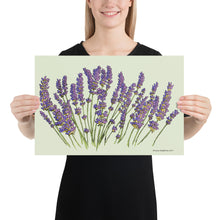 Load image into Gallery viewer, Lavender Poster