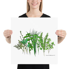 Load image into Gallery viewer, Herb Garden Poster