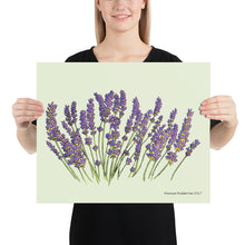 Load image into Gallery viewer, Lavender Poster