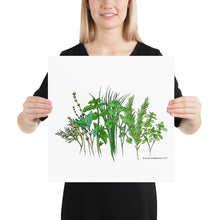 Load image into Gallery viewer, Herb Garden Poster