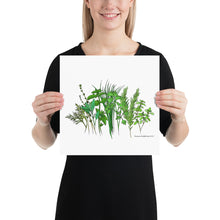 Load image into Gallery viewer, Herb Garden Poster