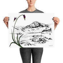 Load image into Gallery viewer, Shooting Stars Poster