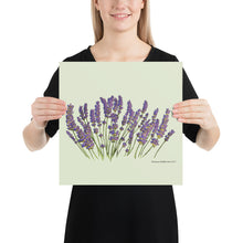 Load image into Gallery viewer, Lavender Poster