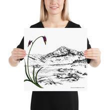 Load image into Gallery viewer, Shooting Stars Poster