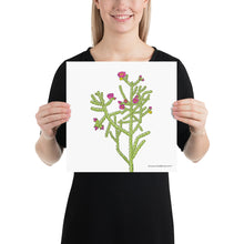Load image into Gallery viewer, Cane Cholla Poster