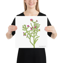 Load image into Gallery viewer, Cane Cholla Poster