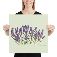Load image into Gallery viewer, Lavender Poster