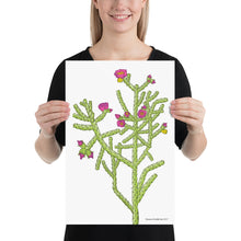 Load image into Gallery viewer, Cane Cholla Poster