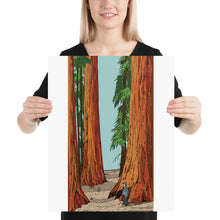 Load image into Gallery viewer, Sequoia Poster
