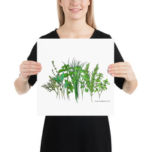 Load image into Gallery viewer, Herb Garden Poster