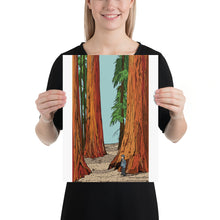 Load image into Gallery viewer, Sequoia Poster