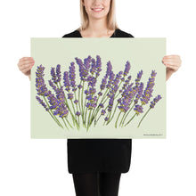 Load image into Gallery viewer, Lavender Poster