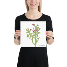 Load image into Gallery viewer, Cane Cholla Poster