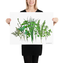 Load image into Gallery viewer, Herb Garden Poster