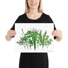 Load image into Gallery viewer, Herb Garden Poster