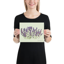 Load image into Gallery viewer, Lavender Poster