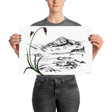 Load image into Gallery viewer, Shooting Stars Poster